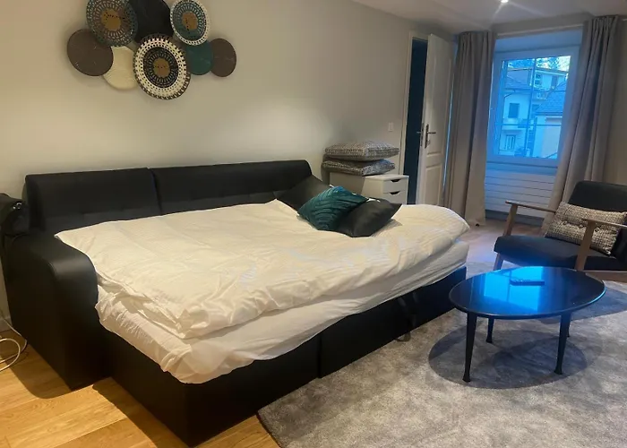 Daire Centre Historique Visp, 6 Pers, Unique Visp