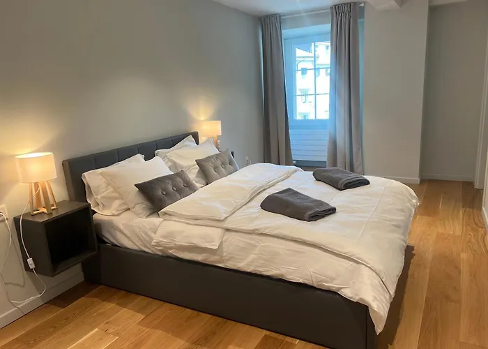 Daire Centre Historique Visp, 6 Pers, Unique Visp